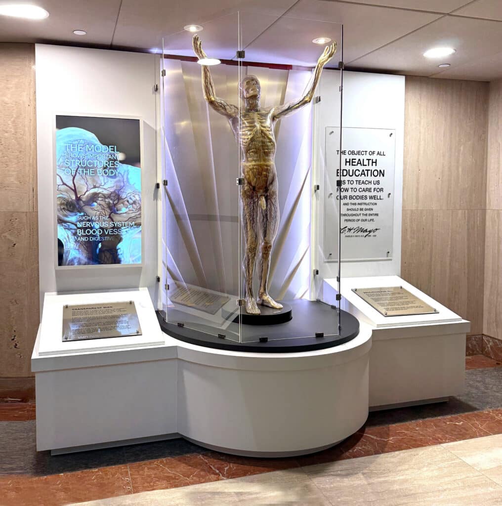 Mayo Clinic Transparent Man